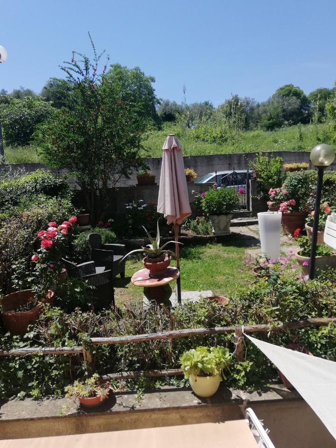 Appartamento Orchidea Montemerano Eksteriør billede