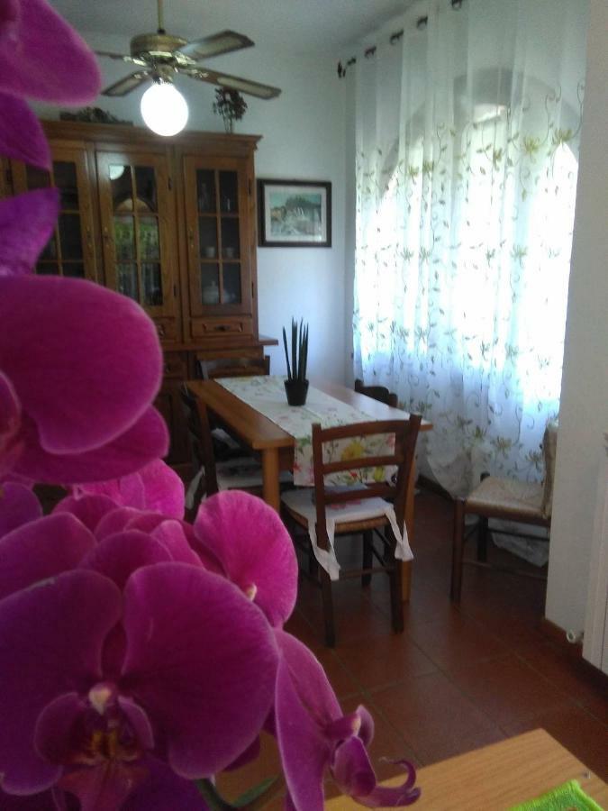 Appartamento Orchidea Montemerano Eksteriør billede