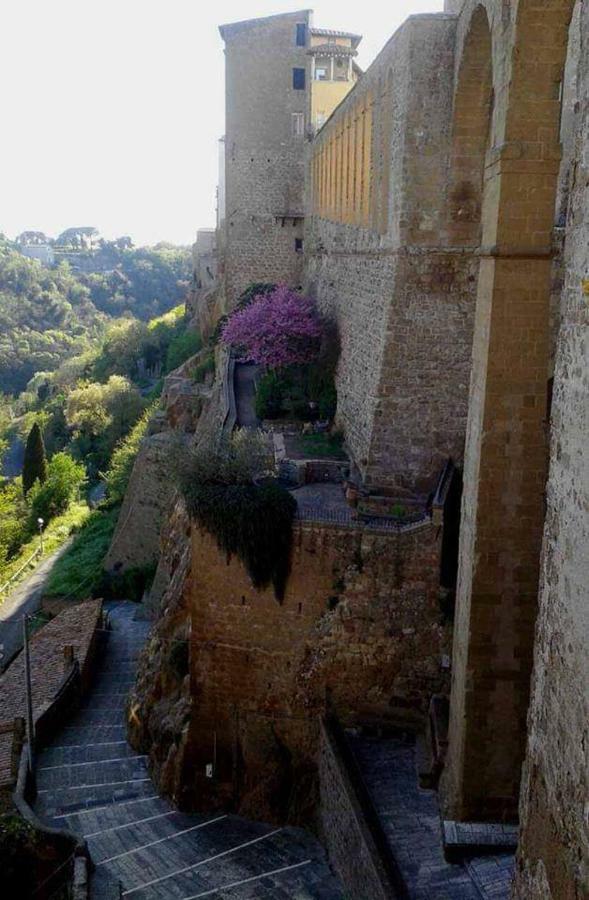 Appartamento Orchidea Montemerano Eksteriør billede